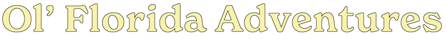 cropped name.png